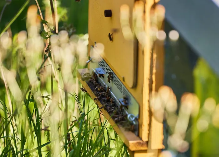 Borgo Di Cortefreda - Place Of Charme